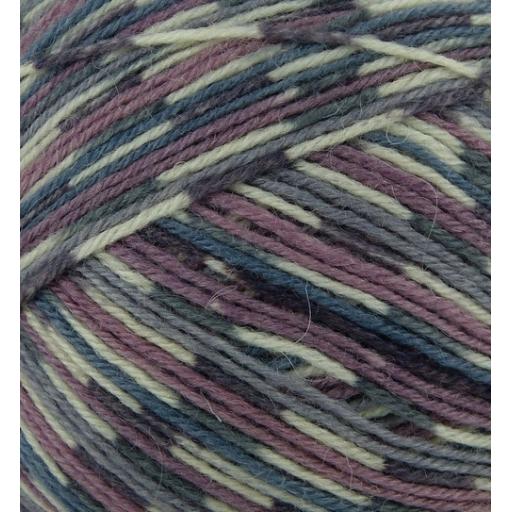 West Yorkshire Spinners Signature 4ply Sock Prints